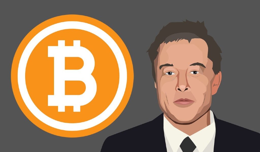 elon