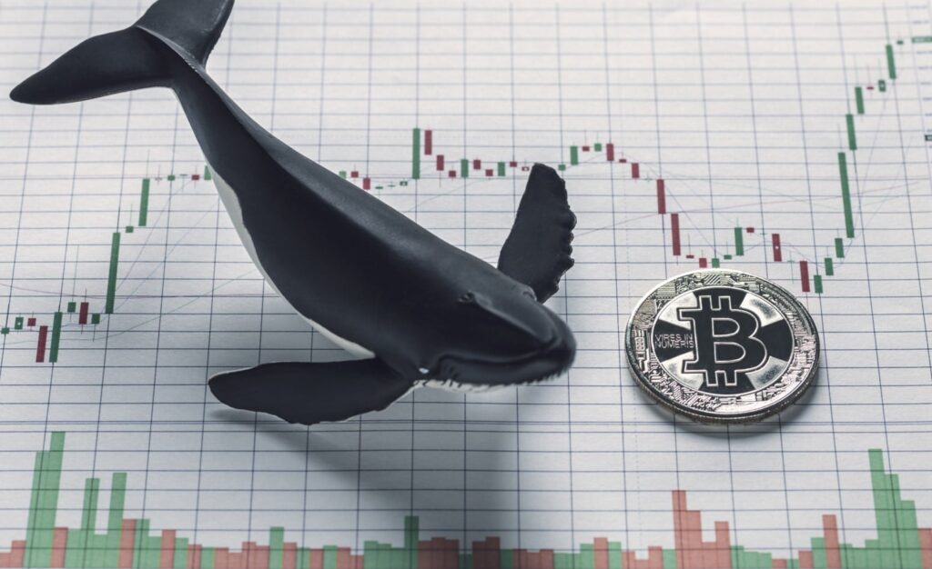 Ballena mueve $1.16 mil millones en BTC