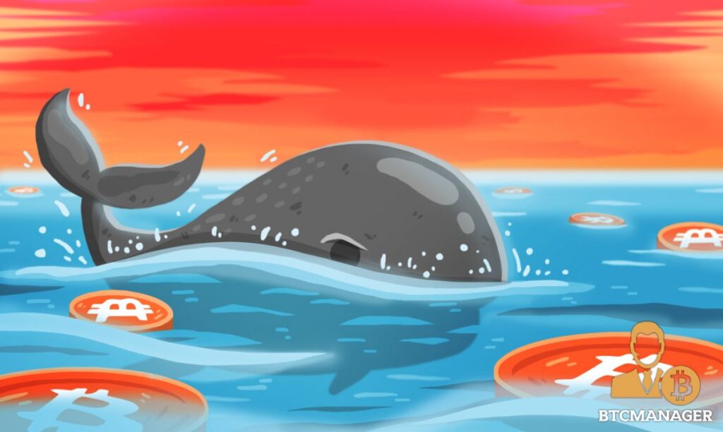 ballenas altcoins