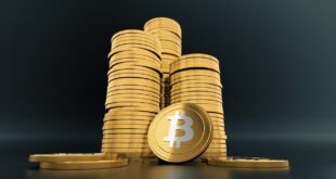 Ballenas Bitcoin