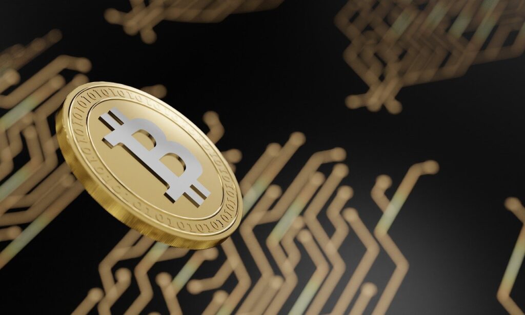 Bitcoin FMI