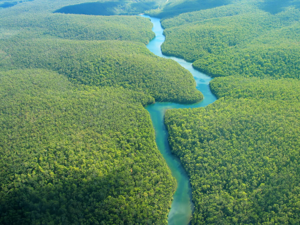 Amazonas