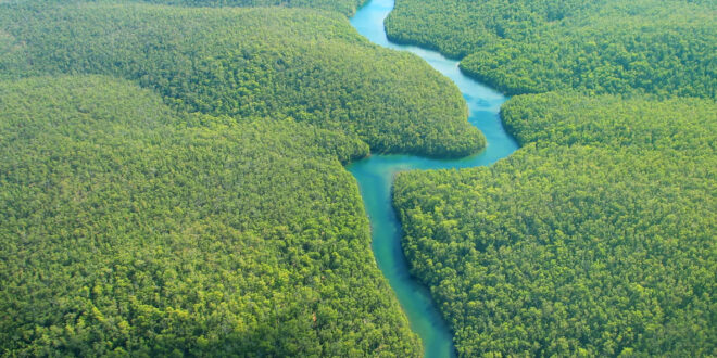 Amazonas