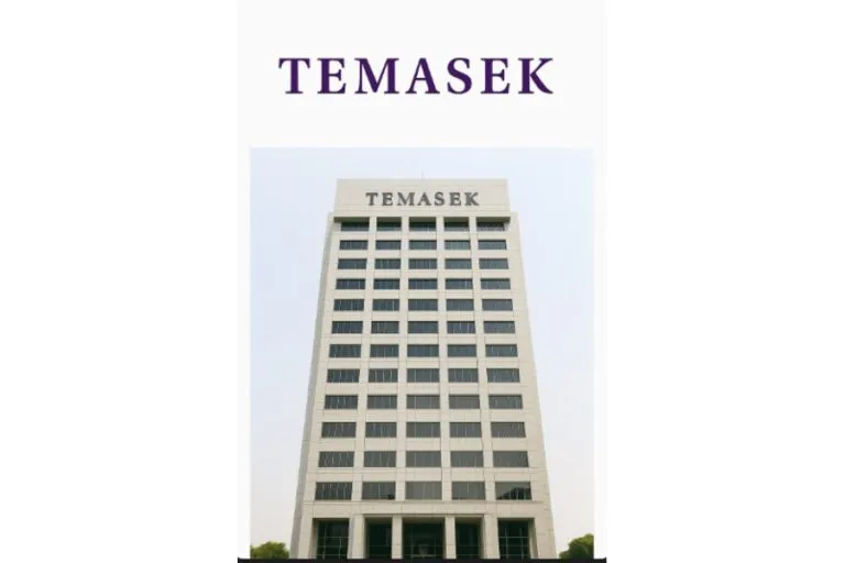 Temasek-Holdings-MA-Strategy